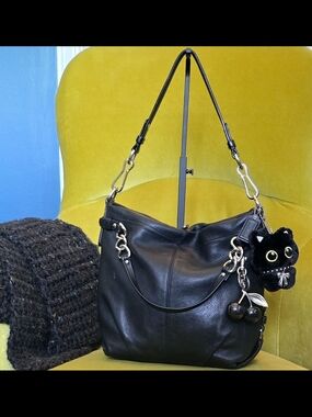 Rock & Roll Kitty Coach Brooke Hobo